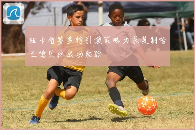 纽卡借鉴多特引援策略力求复制哈兰德贝林成功经验