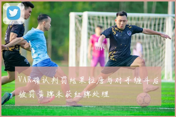VAR确认判罚结果拉唐与对手缠斗后被罚黄牌未获红牌处理